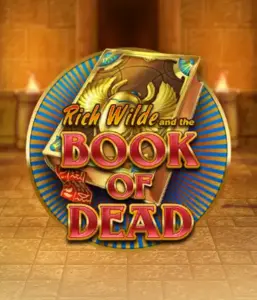 Embark on the thrilling world of Book of Dead Slot by Play'n GO, showcasing vivid graphics of Rich Wilde's journey through ancient Egyptian tombs and artifacts. Find lost riches with captivating mechanics like free spins, expanding icons, and a gamble option. Ideal for those seeking adventure with a desire for thrilling discoveries.